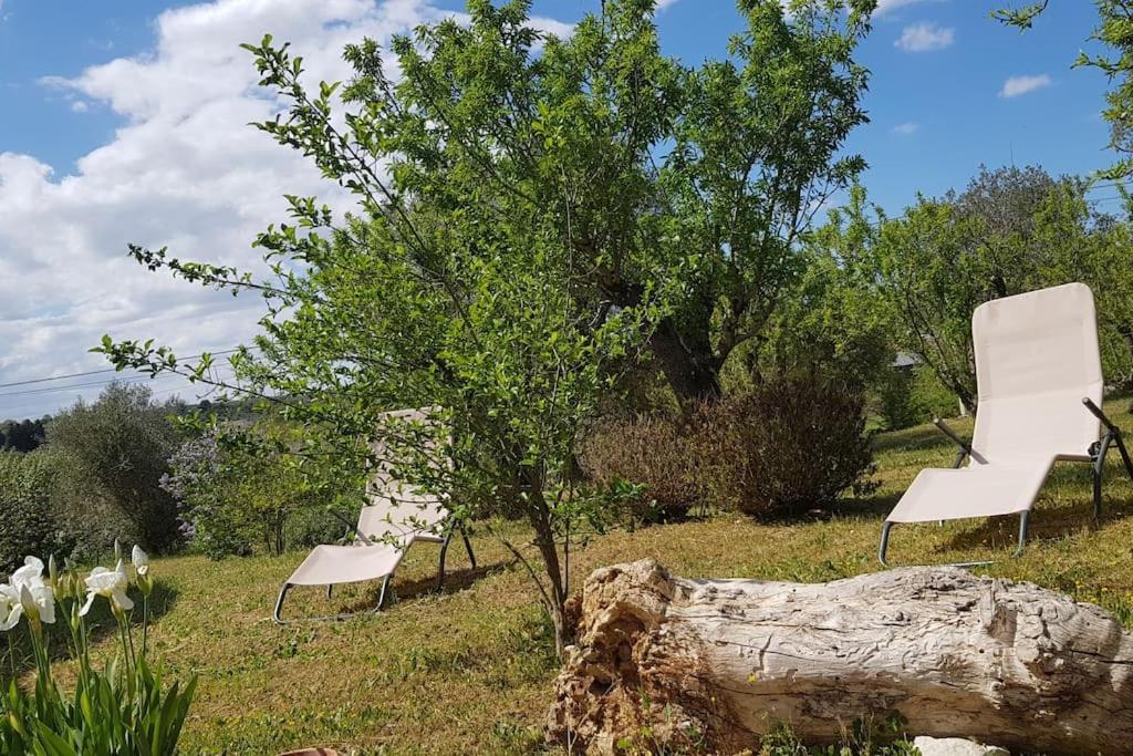 Podere Del Gelso Bianco, Vacation Rental Ostuni Esterno foto