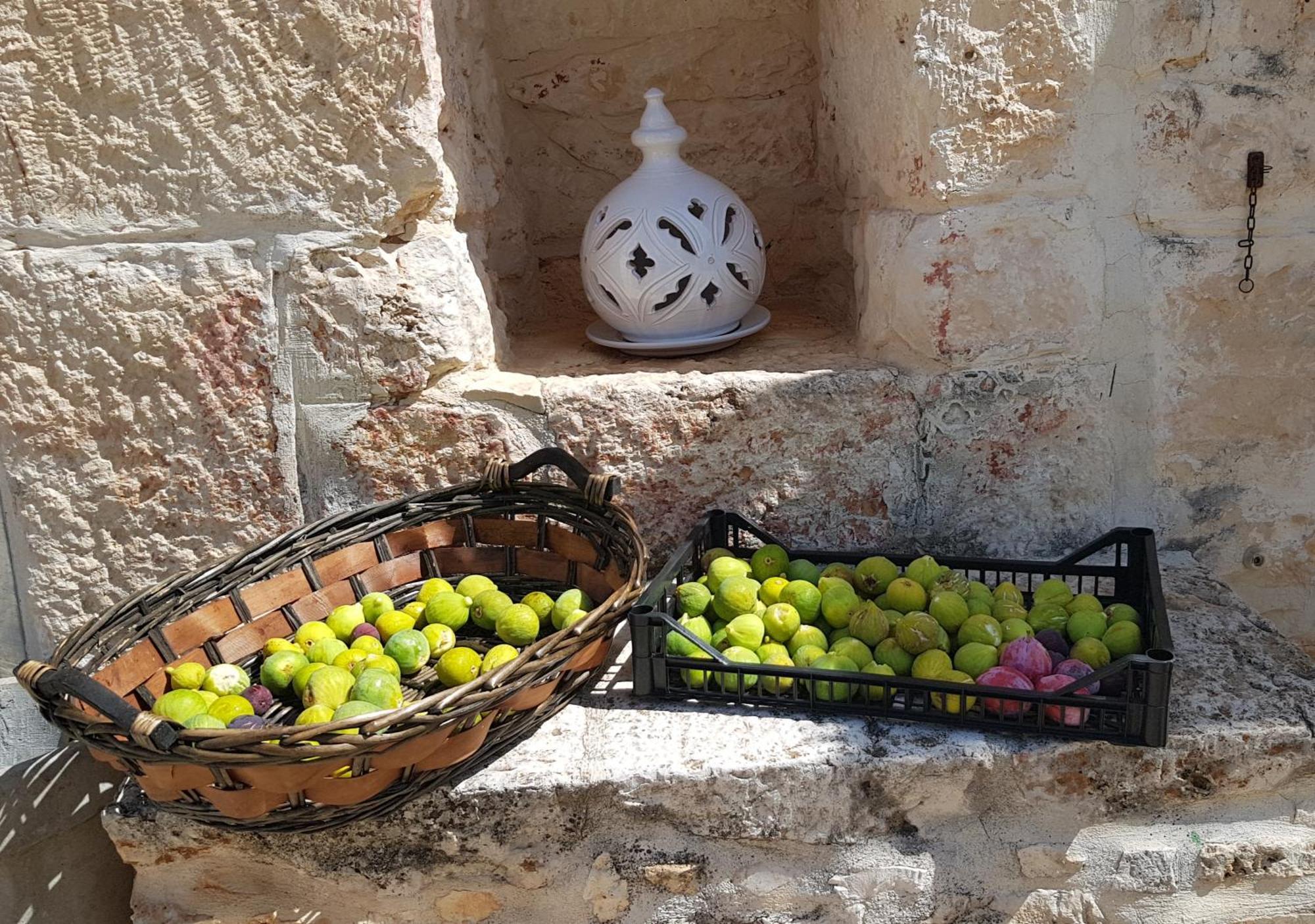 Podere Del Gelso Bianco, Vacation Rental Ostuni Esterno foto