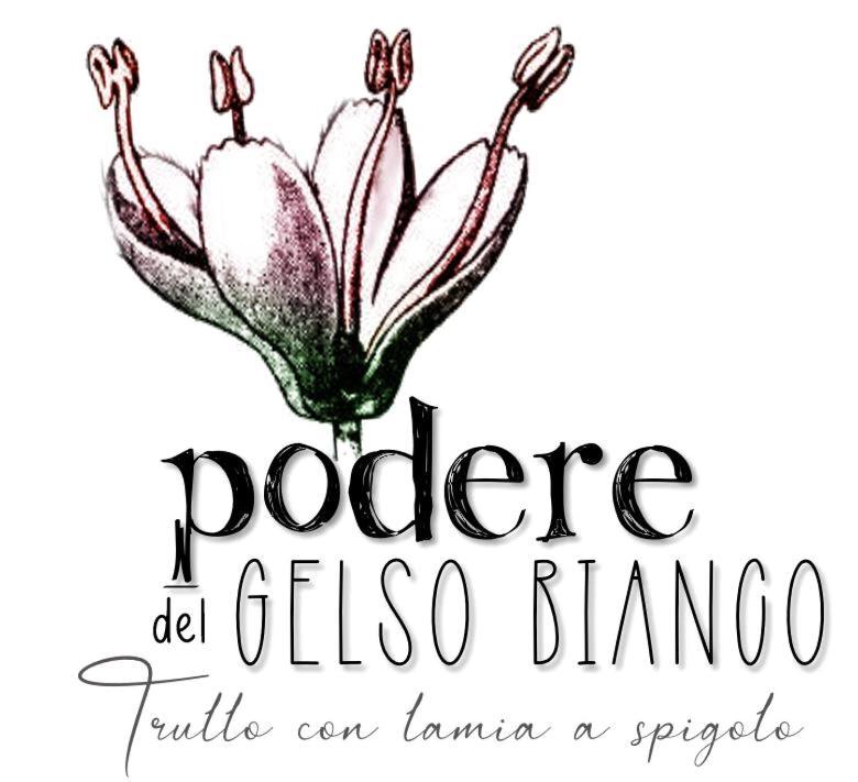 Podere Del Gelso Bianco, Vacation Rental Ostuni Esterno foto
