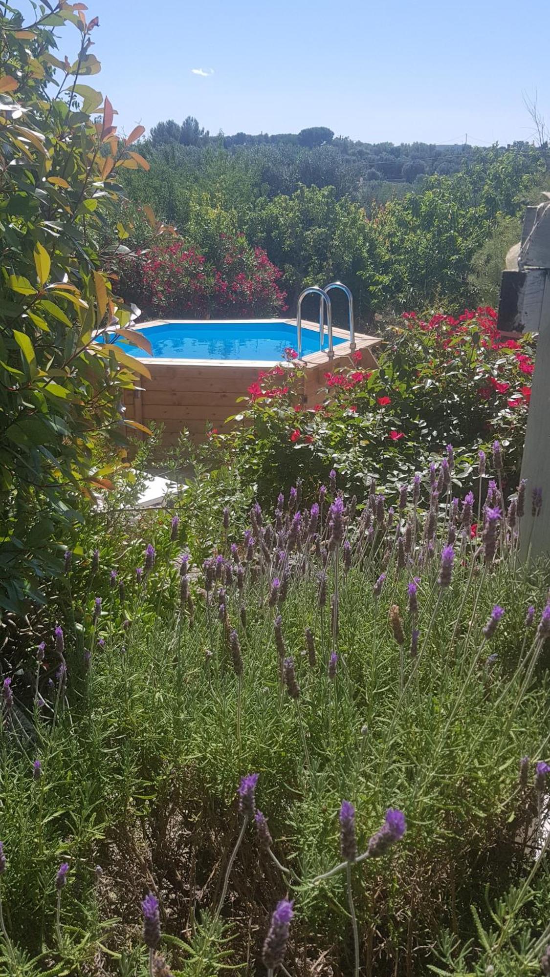 Podere Del Gelso Bianco, Vacation Rental Ostuni Esterno foto